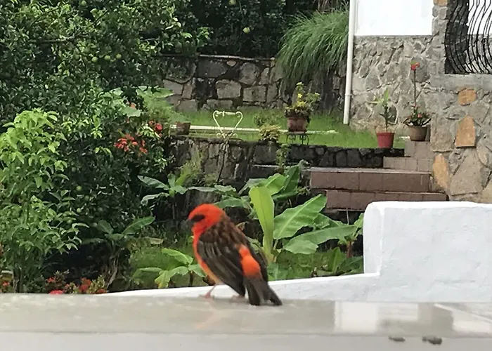 Jbillaselfcatering Beau Vallon 